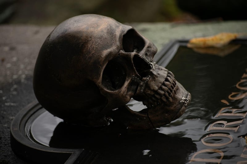 Mysterious Relics Search